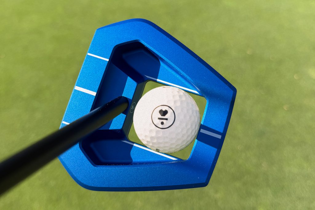L.A.B. Golf VZN.1i cutout