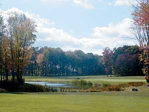 Links at Ivy Ridge