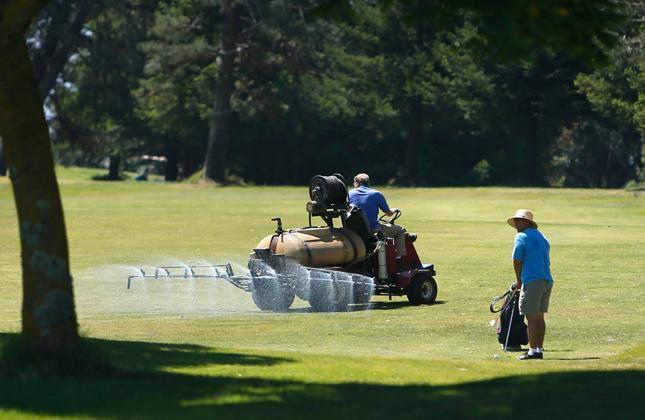 California’s golf courses gird for long, dry summer – The Mercury News