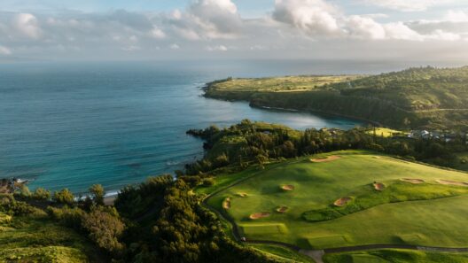 Kapalua golf course to host LPGA tournament as lawsuit over water restrictions heads to trial : Maui Now