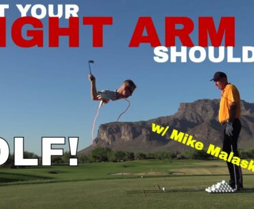 What the RIGHT ARM should do in the golf swing. Top 50 instructor Mike Malaska explains.