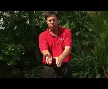 Free Golf Tips on Grip : Alignment of Hands for Golf Grip