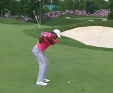 Tiger Woods Golf Swing Vision iron