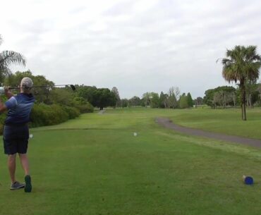 Wolf on the course