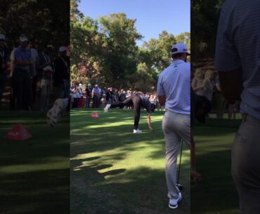 Rory, Fleetwood , Dustin Johnson# Perfect golf swing #