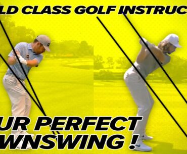 Louis Oosthuizen Golf Swing - Rory Mcllroy, Tommy Fleetwood - Perfect Downswing!