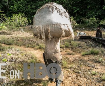 Cocaine Has An Iron Grip On Colombia
