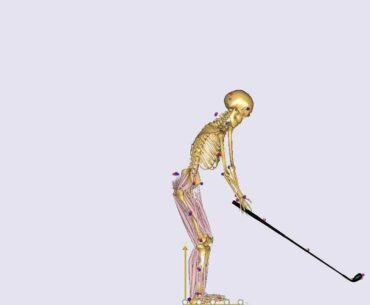 Golf swing motion analysis using C3D file