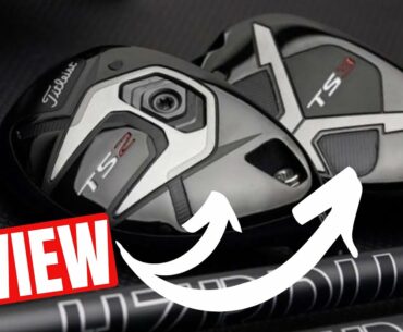 YOU HAVE TO TRY THESE HYBRIDS... BOTH OF THEM