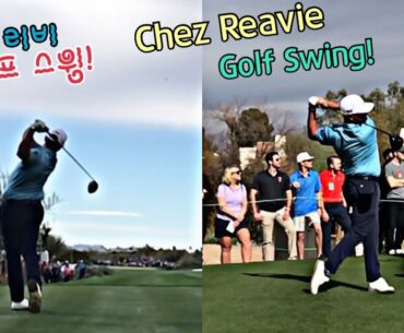 [PGA Golf Players] 체즈 리비 골프 스윙 / Chez Reavie Golf Driver Swing Face on & Side Golf Swing