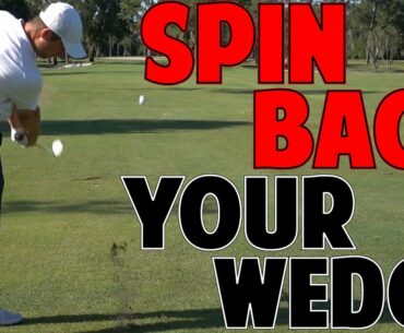 How to Spin Back Your Wedges Now!!