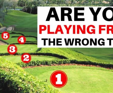 USA GOLFERS DO THIS RIGHT DO YOU ? WHAT TEES DO YOU PLAY FROM