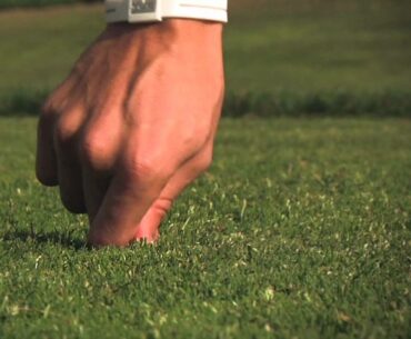 SmarTee Golf Tees Golf Accessory