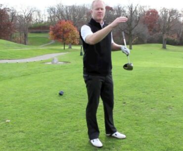 Wedgewood Hybrid Driver