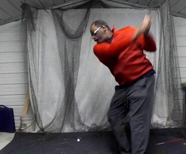 WILLIE GOLF SWING 0