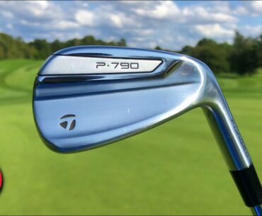 NEW TAYLORMADE P790 (2019) IRONS REVIEW