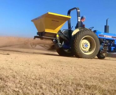 Top Dressing Golf Tees