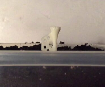 3D printed golf tee test