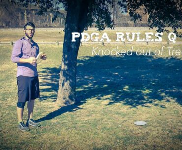 PDGA Disc Golf Rules Q & A | Disc Knocked out of Tree