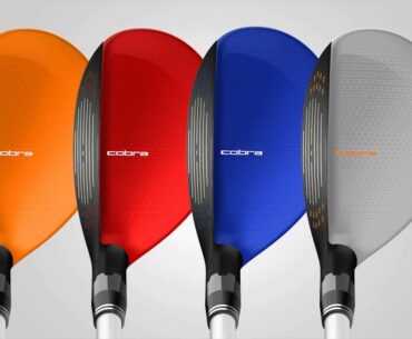 AMP CELL HYBRIDS