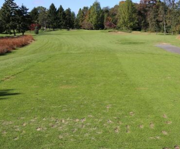 Fore The Golfer: Why Do Tees Become Uneven?