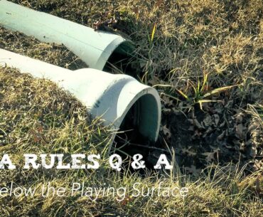 PDGA Disc Golf Rules Q & A | Disc Below the Playing Surface