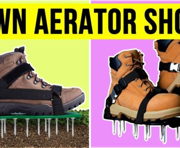 5 Best Lawn Aerator Shoes 2020