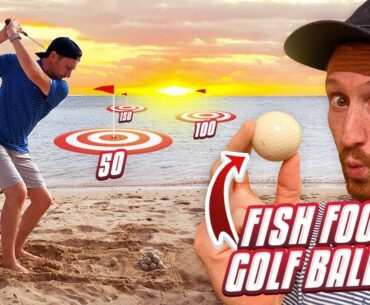FISH FOOD golf balls on this BEACHFRONT DRIVING RANGE in Mauritius!