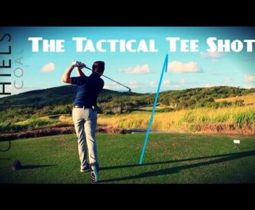 THE TACTICAL / SAFE TEE SHOT GOLF TIP
