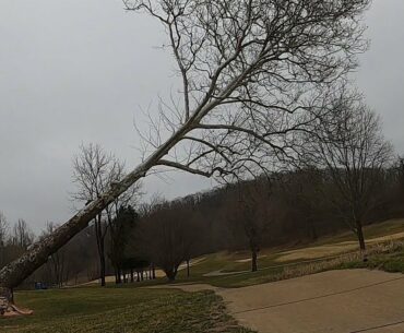Chainsaws & Golfballs