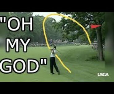 Tiger Woods   A True Golf Artist