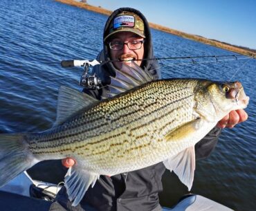 Ice Fishing Tactics For MONSTER Hybrids..