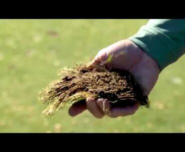 Fore The Golfer: Divots 101 - Know When to Repair or Replace