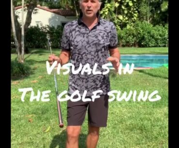 Visuals in the Golf Swing