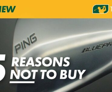 5 Reasons NOT TO BUY The Ping Blueprint Irons