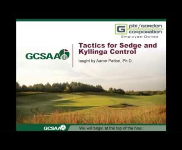 Tactics for Sedge and Kyllinga Control