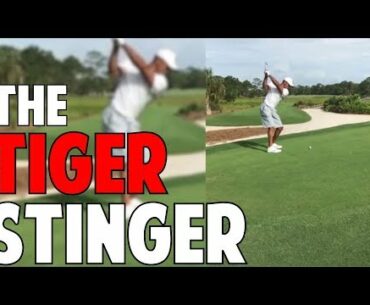 How to Hit The Tiger Stinger in Crazy Detail
