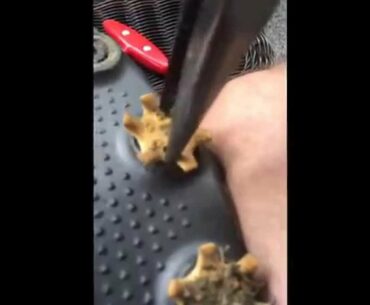 How to Remove Broken or Worn out Golf Cleats