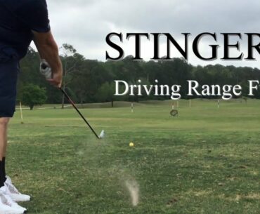 Stinger golf shots and driving range fun