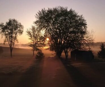 Mistwood Golf Club: Waiting for the Return of Golf