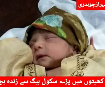School Bag Sy Bachi Bramd