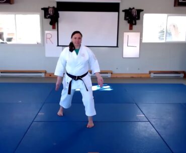 Lesson: Stance Transitioning