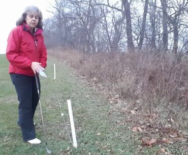 Simplifying the rules of Golf (Can we remove Out of Bounds Stakes) (Rule in Decsription below)