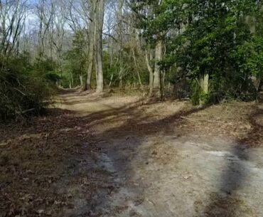 Stafford Disc Golf Woods DJI Mavic Pro 2.18.17