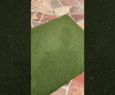 Garden Stake Golf Club