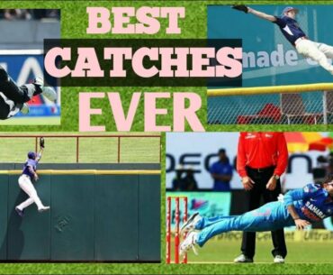 Compare Best Catches of BASE BALL and Best Catches of CRICKET in History | HD