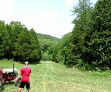 shooting golf balls with a shotgun