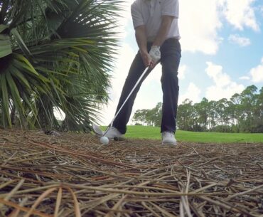 A tree is blocking my backswing | Fix Finder #151 | GOLF.com