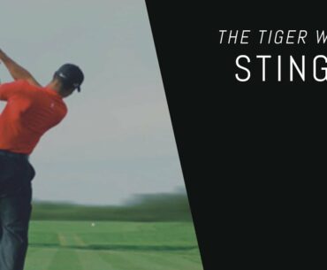 Science of the Stinger | How does Tiger Woods do it?