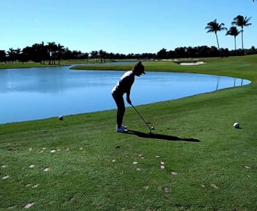 Elaine's Florida Swing - Blue Monster - 30 MPH Winds